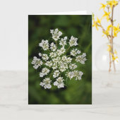 Königin Anne's Lace, Karte (Gelbe Blume)