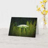 Königin Anne's Lace, Karte (Gelbe Blume)