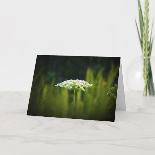 Königin Anne's Lace, Karte (Vorderseite)
