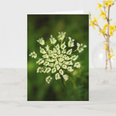 Königin Anne's Lace, Karte (Gelbe Blume)