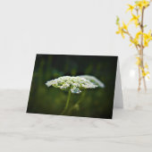 Königin Anne's Lace, Karte (Gelbe Blume)