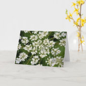 Königin Anne's Lace, Karte (Gelbe Blume)