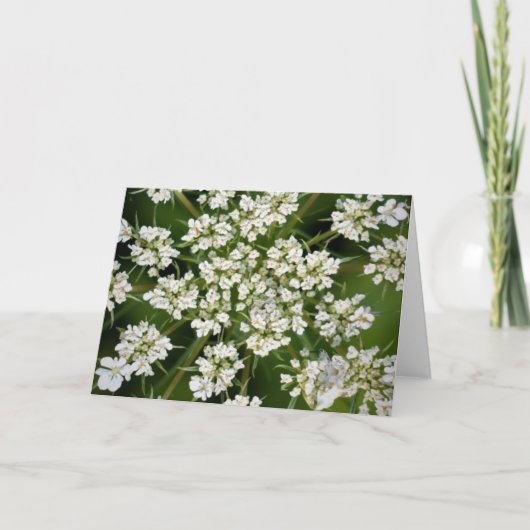 Königin Anne's Lace, Karte (Vorderseite)