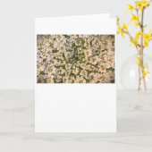 Königin Anne's Lace, Karte (Gelbe Blume)