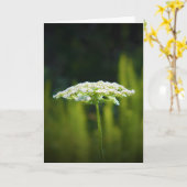 Königin Anne's Lace, Karte (Gelbe Blume)