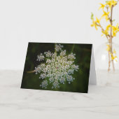 Königin Anne's Lace, Karte (Gelbe Blume)