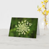 Königin Anne's Lace, Karte (Gelbe Blume)