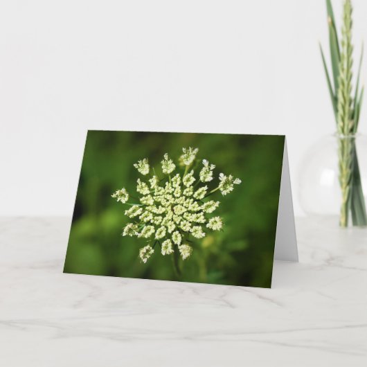 Königin Anne's Lace, Karte (Vorderseite)