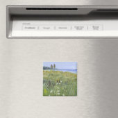 Königin Anne's Lace Magnet (In Situ (Geschirrspüler))