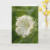 Königin Anne's Lace-Makro Karte (Gelbe Blume)