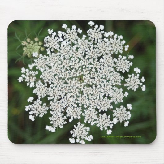 Königin Anne's Lace Mousepad (Vorne)