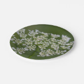 Königin Anne's Lace Pappteller (Schrägansicht)