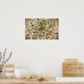 Königin Anne's Lace Poster (Küche)