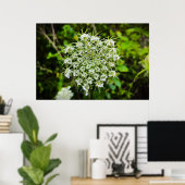 Königin Anne's Lace Poster (Heimbüro)