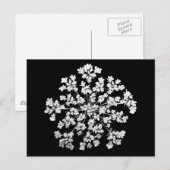 Königin Anne's Lace Postkarte (Vorne/Hinten)