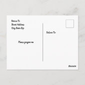 Königin Anne's Lace Postkarte (Rückseite)