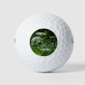 Königin Anne's Lace-Wildblume Golfball (Vorderseite)
