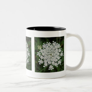 Königin Anne's Lace Zweifarbige Tasse
