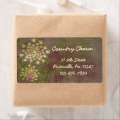 Königin Anne's Spitzenlabel (Insitu)