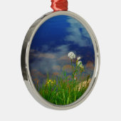 Königin Anns Spitzen-Blume, blauer Bergsee Silbernes Ornament (Rechts)