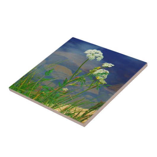 Königin Anns spitzenblauer See Fliese (Seite)