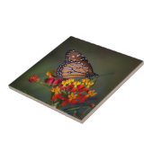 Königin Butterfly auf tropischen Milchkraut Fliese (Seite)