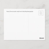 Königin Butterfly Sunning on Milkweed, Arizona Postkarte (Rückseite)