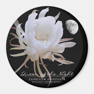 Königin der Nacht Magnet