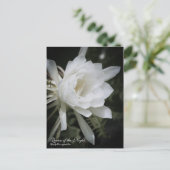 Königin der Nacht:Postkarte Postkarte (Stehend Vorderseite)