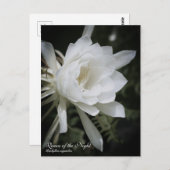 Königin der Nacht:Postkarte Postkarte (Vorne/Hinten)