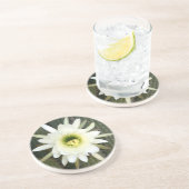 Königin der Nachtkaktus-Blume, Region Karoo Getränkeuntersetzer (Seite)