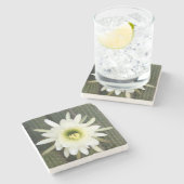 Königin der Nachtkaktus-Blume, Region Karoo Steinuntersetzer (Seitenansicht)