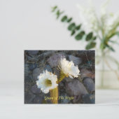 Königin der Nachtkaktus Postkarte (Stehend Vorderseite)