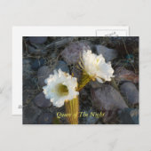 Königin der Nachtkaktus Postkarte (Vorne/Hinten)