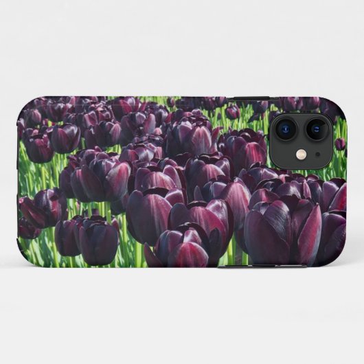 Königin der Nachttoulpen Case-Mate iPhone Hülle (Rückseite (Horizontal))