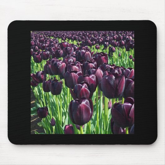 Königin der Nachttoulpen Mousepad (Vorne)