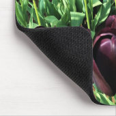 Königin der Nachttoulpen, Oregon Mousepad (Ecke)