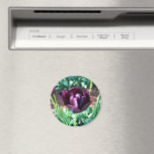 Königin der Nachttulip, Oregon Magnet (In Situ (Geschirrspüler))