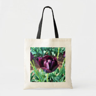 Königin der Nachttulip, Oregon Tragetasche