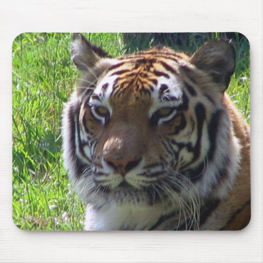 Königin des Dschungels Mousepad (Vorne)