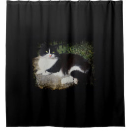 Königin des Garten-Katzen-Duschvorhangs Duschvorhang