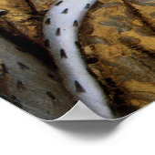 Königin Elizabeth I.: Krönung Poster (Ecke)