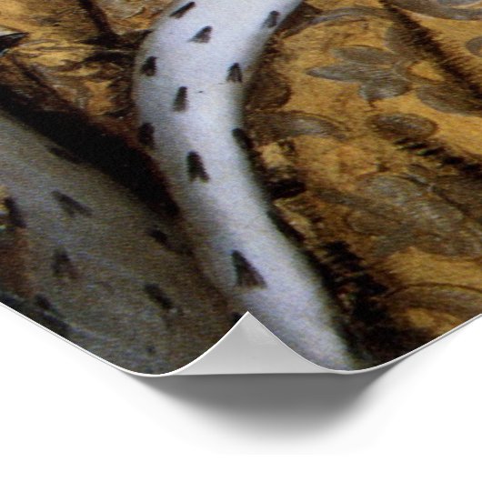 Königin Elizabeth I.: Krönung Poster (Ecke)