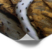 Königin Elizabeth I. von England in Coronation Rob Poster (Ecke)