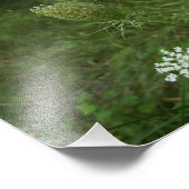 Königin Fotodruck (Ecke)