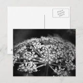 Königin-König Postkarte (Vorne/Hinten)