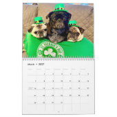 Königin Lulu der Mops 2022 Kalender (Mär 2027)