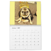 Königin Lulu der Mops 2022 Kalender (Jan 2027)