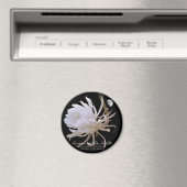 Königin Night ネ die グ des. Magnet (In Situ (Geschirrspüler))