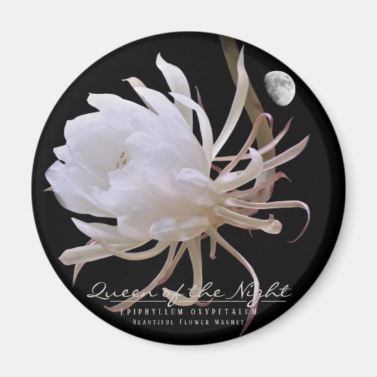 Königin Night ネ die グ des. Magnet (Vorne)